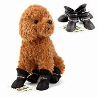 Image result for Puppy Shoes