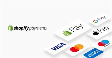 Shopify payment methods: An alternative, skrill and other payment methods