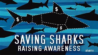 Image result for Save Sharks