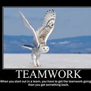 Image result for Animal Teamwork Quotes