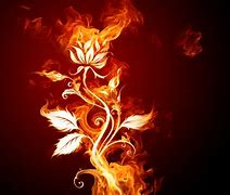 Image result for Cool Abstract Flower Blue Fire
