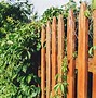 Image result for Inexpensive Front Yard Fences