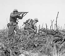 Image result for Japanese Deaths WW2