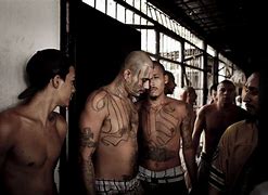 Image result for MS-13 Gang Colors