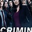 Image result for Criminal Minds Season 13 Cast