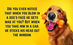 Image result for Funny Jokes Quotes and Sayings