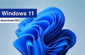 Image result for Windows 11 ISO File