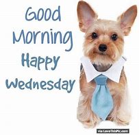 Image result for Good Morning Happy Wednesday Animals