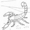 Image result for Scorpion Art for Kids