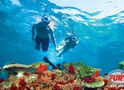 Image result for Key West Snorkeling