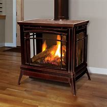 Image result for Free Standing Gas Log Fireplace