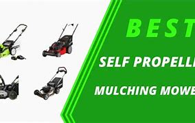 Image result for Best Self-Propelled Mulching Mower