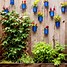 Image result for Planters with Fence Attached