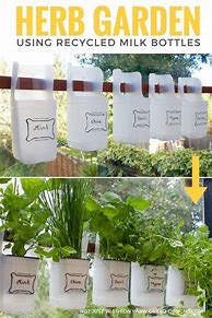 Image result for Milk Bottle Garden Pot