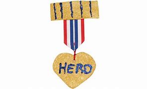 Image result for A Hero Medal for Kindness