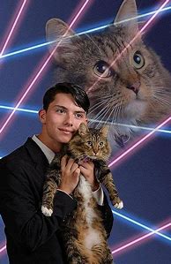 Image result for Awkward Senior Pictures Cat