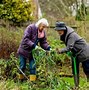 Image result for Old People Gardening