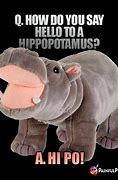 Image result for Hippo Puns
