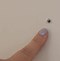 Image result for Patch Small Hole in Wall