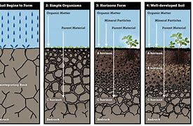 Image result for The Ways Soils Are Deposited