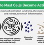 Image result for Mast Cell Activation Flushing