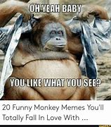 Image result for Crazy Monkey Meme