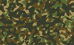 Image result for Old School Camo Hoodie