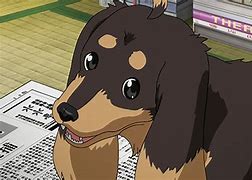 Image result for Dogu Anime