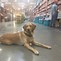 Image result for Lowe's Aisle