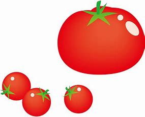 イラスト 無料 トマト に対する画像結果