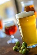 Image result for Beer Style