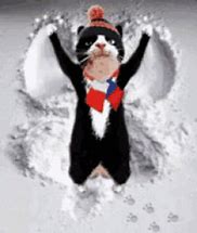 Image result for Snow Angels Funny