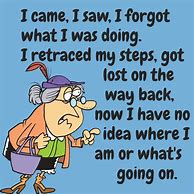 Image result for Old Lady Jokes Comic