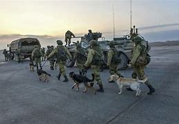 Image result for Russian Syria War