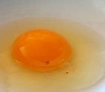 Image result for Backyard eggs lead