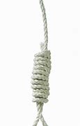 Image result for Hanging Wall Vase Rope