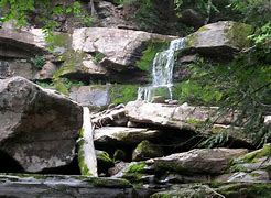 Image result for Rogers Island Catskill