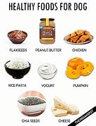 Image result for foods that are good for pets