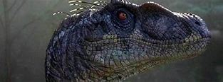 Image result for Raptor Jurassic Park Jungle