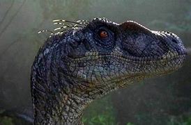 Image result for Jurassic World Owen and Baby Raptors