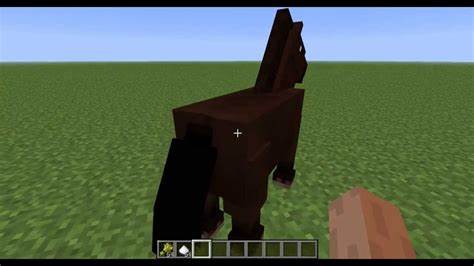 Jak oswoić konia w minecraft