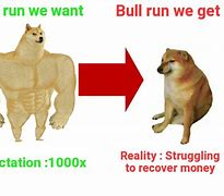 Image result for Bull Market Meme