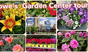 Image result for Lowe's Garden Center Tires20x800x8