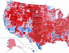 Image result for Trump Election Results Map