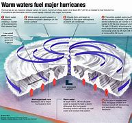 Image result for Parts of a Hurricane