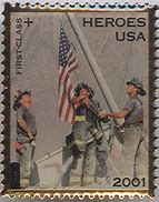 Image result for Heroes USA Stamp Pin