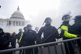 Image result for new insurrection tape releases showing nothing DC police allowing people in