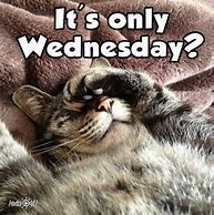 Image result for Funny Quotes About Wednesday