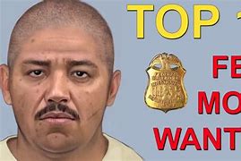 Image result for Most Wanted Man FBI