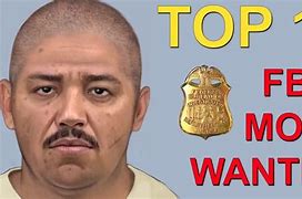 Image result for Top 10 Most Wanted Now